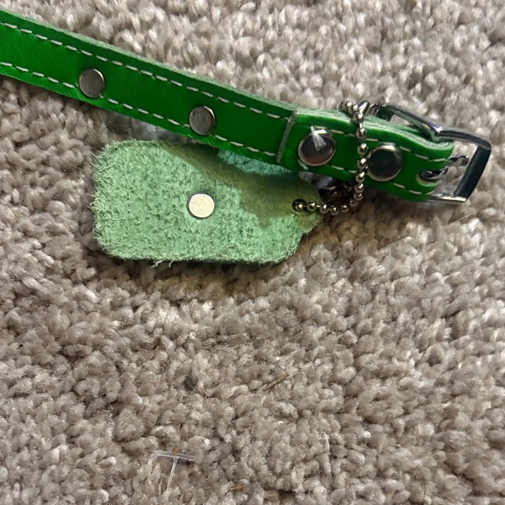 New leather Green One Dog Collar with Paw Print Accents size 19 inches xs/small